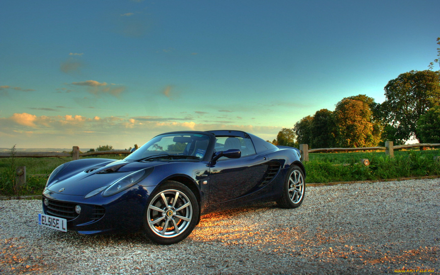 , lotus